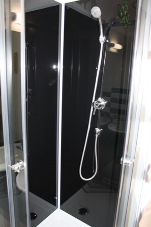Shower, hair dryer