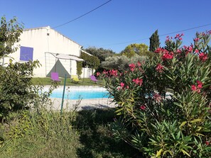 Outdoor pool - Independent cottage in private air-fenced yard-pool Provence (Pernes-Les-Fontaines)