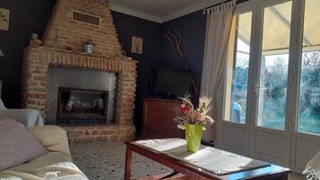 Télévision, cheminée, lecteur de DVD, livres