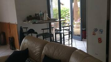 TV connectée, cheminée, lecteur de DVD, livres