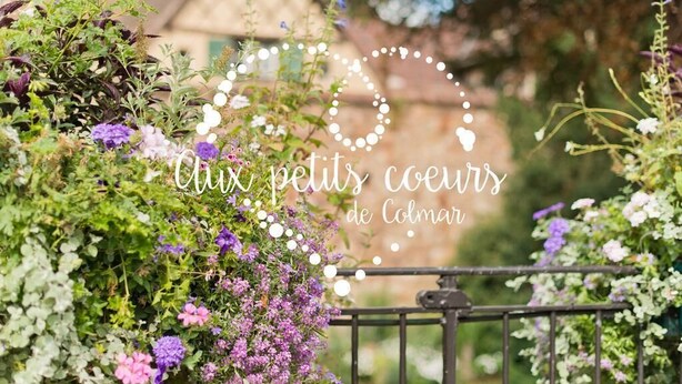 A garden with various plants and flowers, a metal fence, and a building in the background. - Wonderful apartment in the heart of Little Venice (Colmar)