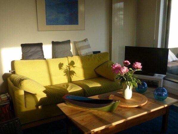 Televisión, reproductor de DVD, libros y estéreo 