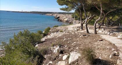 Character villa with 1000 m² garden close to the sea, Côte Bleue.