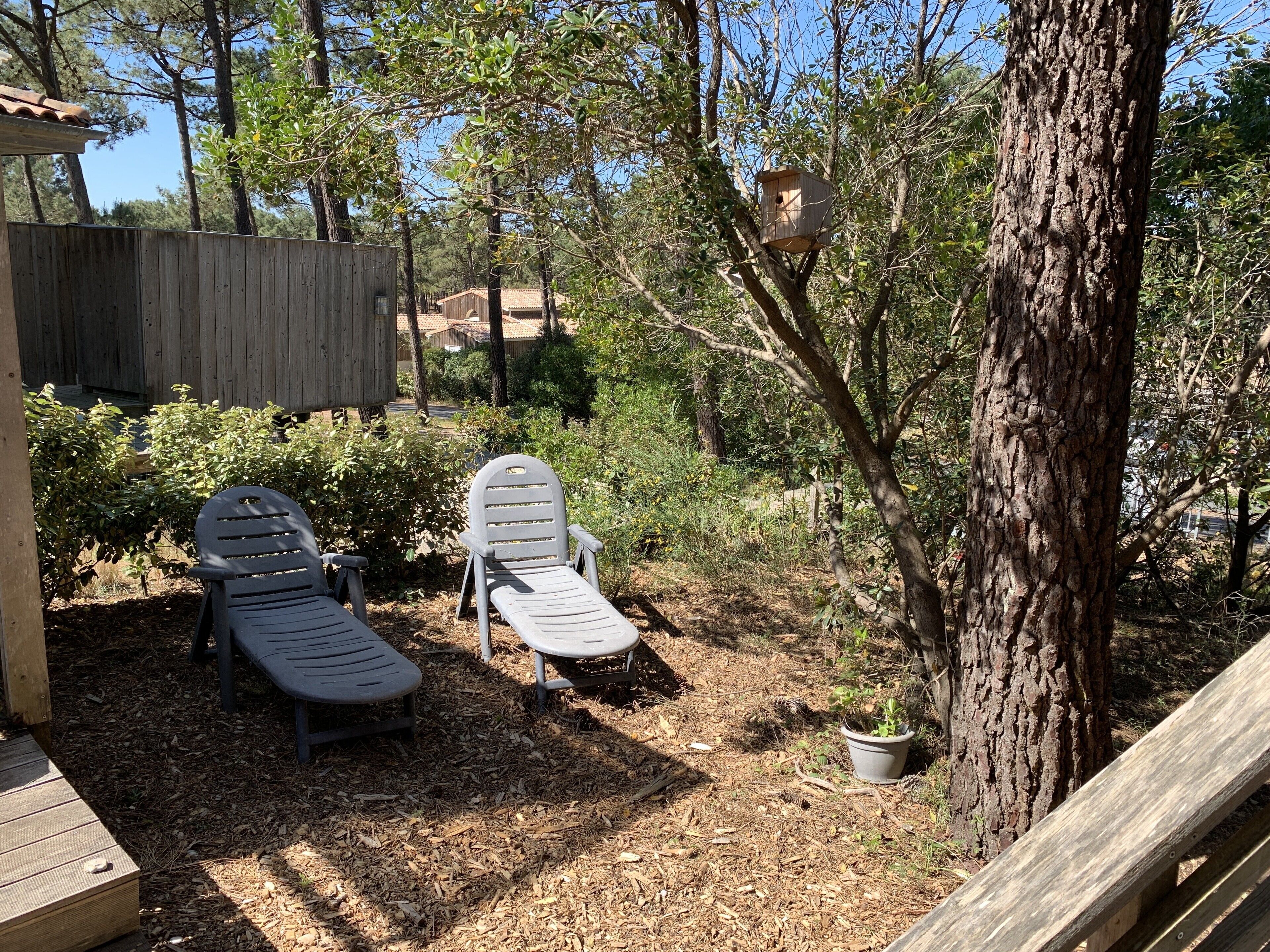 A wooden deck with two lounge chairs, surrounded by trees and a wooden fence.