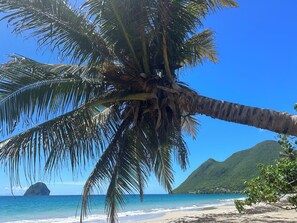 Nära stranden