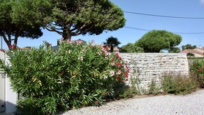 Un muro de piedra con un árbol grande y un arbusto de flores rosadas.