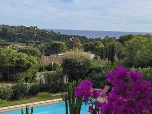 A pool with a view of a coastal landscape, surrounded by greenery and cacti.