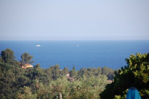 A coastal landscape with a view of the sea, dense greenery, and a distant building.