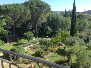 Terrain de l’hébergement 