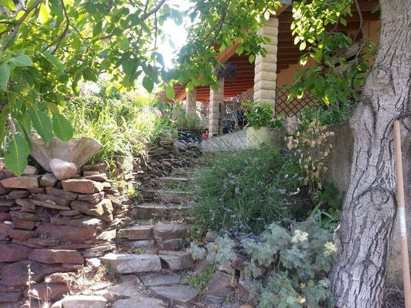 Property grounds - Family vacation in the sun WEEKLY RENTALS IN SUMMER: Saturday to Saturday (Lodève)