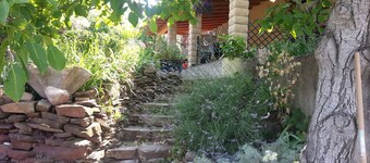 太陽の下で家族の休日