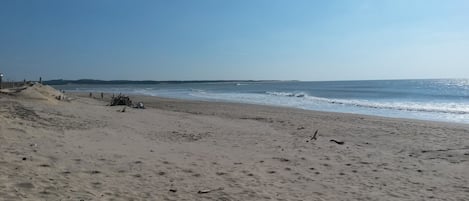 Vlak bij het strand