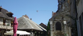 NEW 2016: BEAUTIFUL, FULLY RENOVATED FARMHOUSE 150M2, NEAR BEAUNE, WINEYARDS, A6