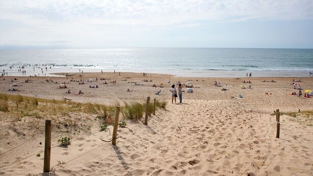 Ein Sandstrand mit Menschen, die sich sonnen und am Ufer entlanggehen.