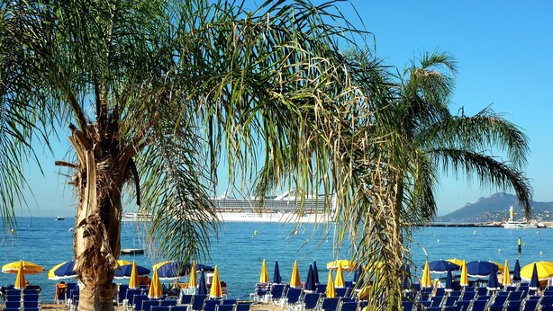 Une plage bordée de rangées de chaises longues bleues et de parasols jaunes, un palmier et, au loin, un navire de croisière.
