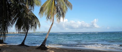 On the beach