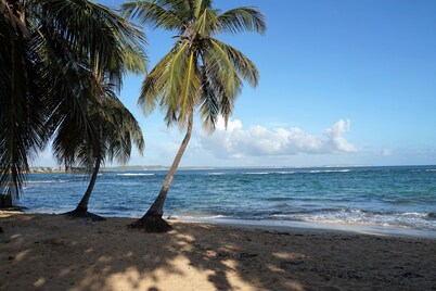 Apartment T2 the waterfront overlooking the sea.