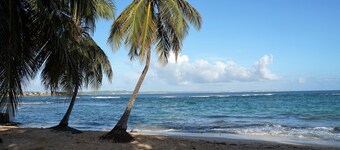 Apartment T2 the waterfront overlooking the sea.