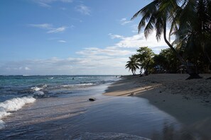 Una playa con palmeras y el océano.