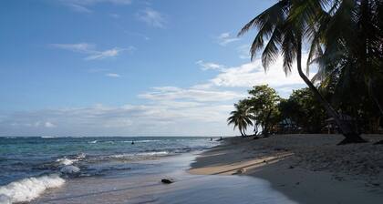 Appartement T2 les pieds dans lâeau et vue sur la mer.