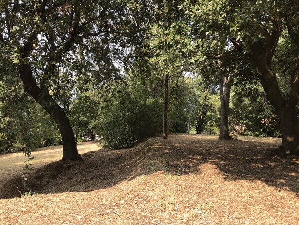 A forested area with a dirt path, trees, and a pile of leaves. - House on raised ground formed of 3 large restanques lined with calm trees. (Calcatoggio)