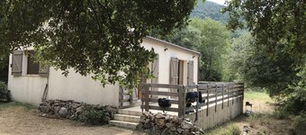 House on raised ground formed of 3 large restanques lined with calm trees.