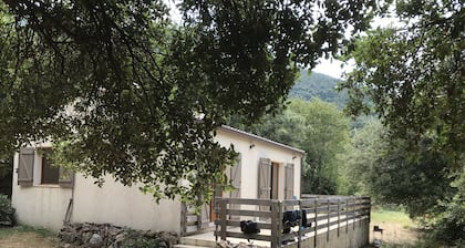 Maison sur terrain arboré formé de 3 grandes restanques bordées d'arbres calme.