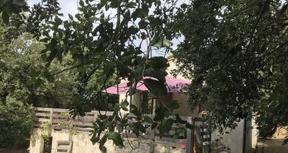 Talo kohoavalla maalla muodostuu 3 suuresta restanquesta vuorattu rauhallisilla puilla.