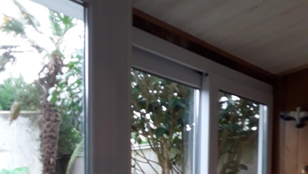 A room with a large window, a small table with a bowl of snacks, and a bird figurine on the windowsill.