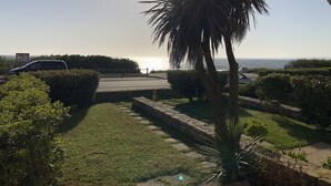 A view of a landscaped area with a palm tree, a paved path, and a body of water in the background. - Loriot1 apartment sea view on the fort blocked, ploemeur  (Ploemeur)