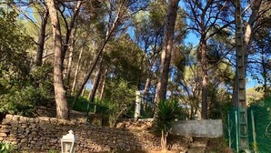 A stone staircase in a wooded area with a lantern post.