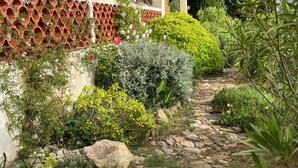 A garden pathway with various plants and a building with a unique facade.
