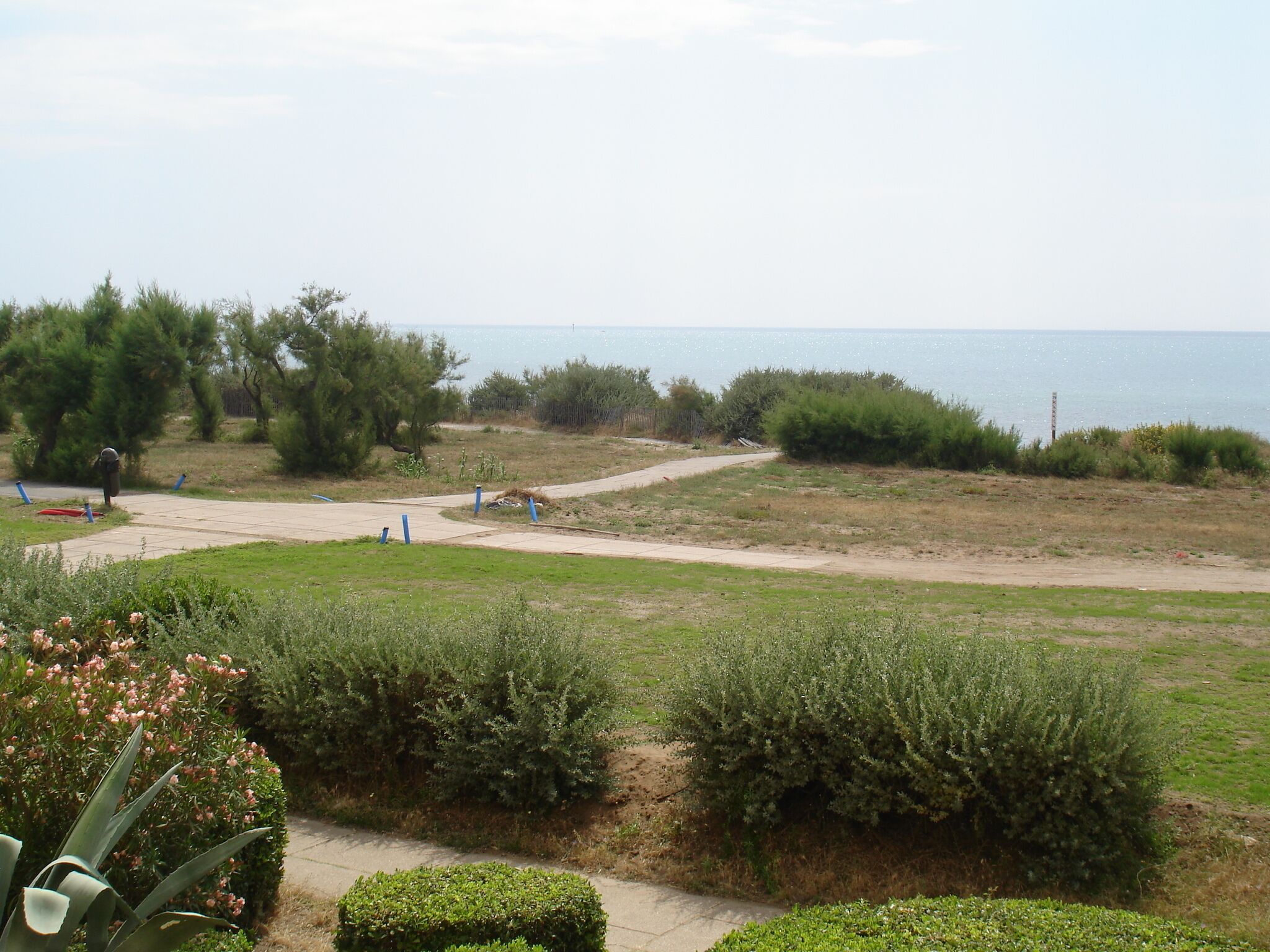 A coastal landscape with a paved path leading to the sea, surrounded by greenery and bushes.