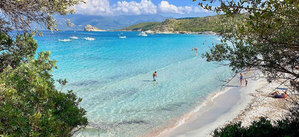 Playa en los alrededores 