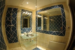 Shower, hair dryer, soap, toilet paper - HOLIDAY IN A VILLA in Collioure, CHARACTER COUNTRY (Collioure)