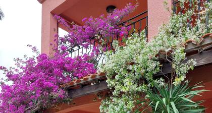 HOLIDAY IN A VILLA in Collioure, CHARACTER COUNTRY