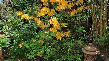 DĂ©tail de lâextĂ©rieur