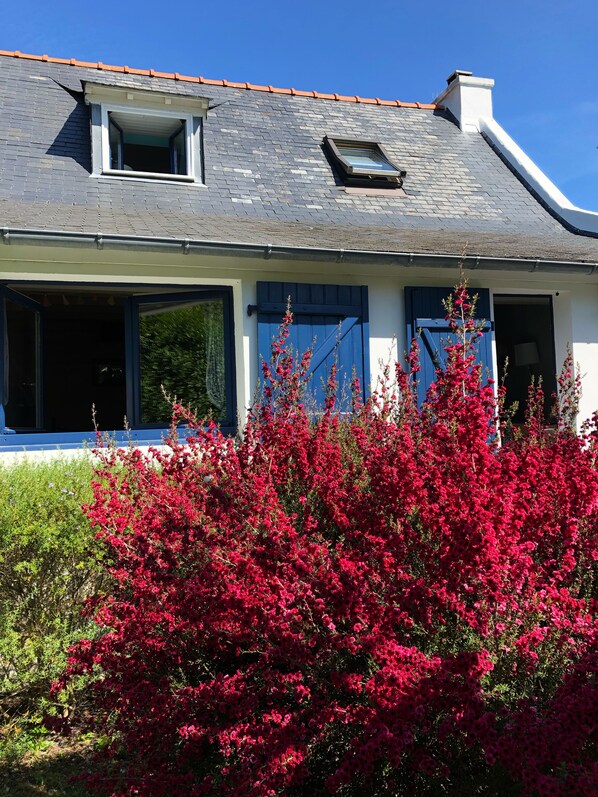 A house with a sloped roof, two windows with shutters, and a garden with red flowers.