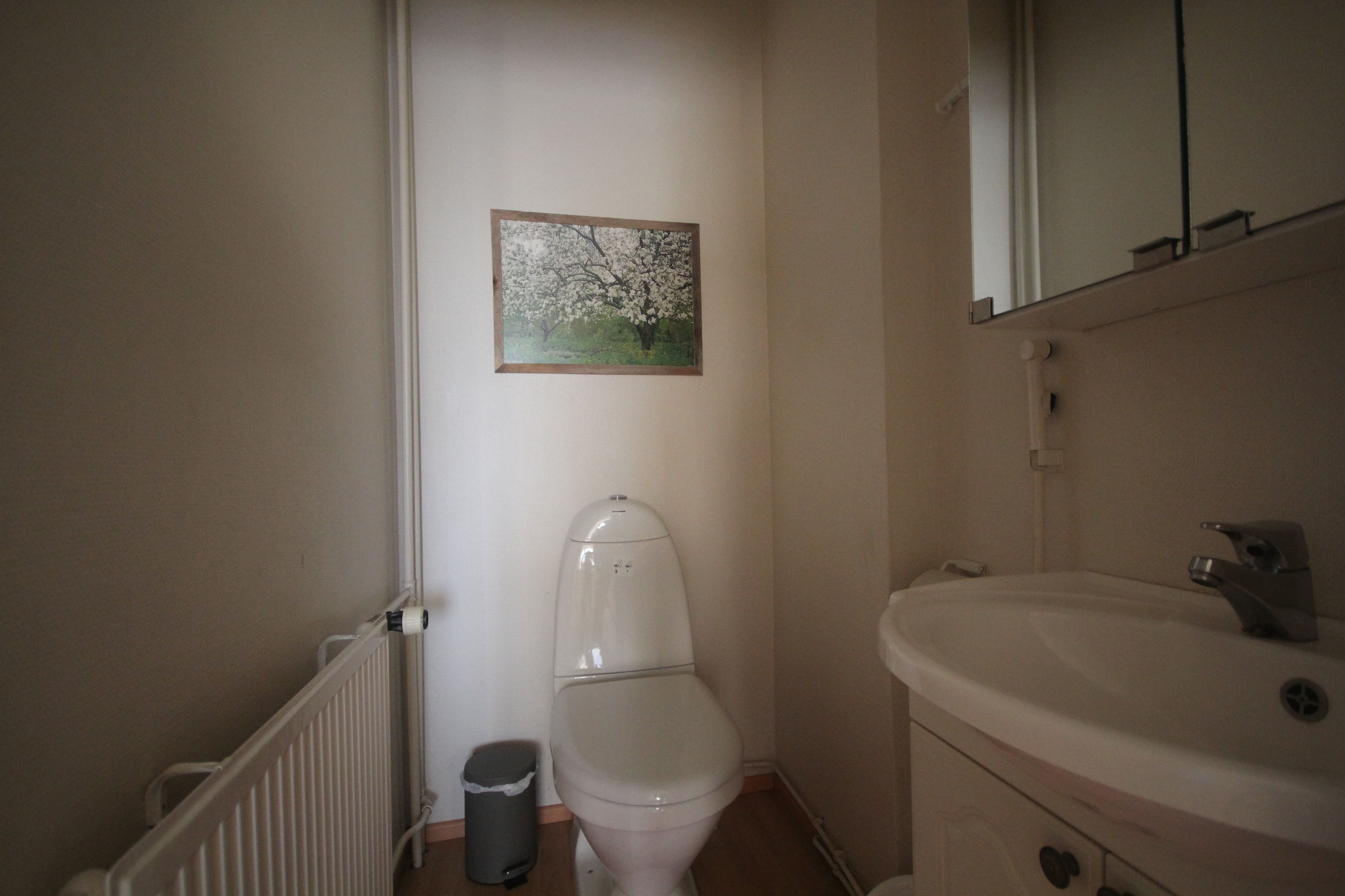A bathroom with a toilet, a sink, and a radiator.