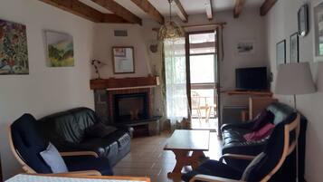 TV, fireplace, DVD player, books