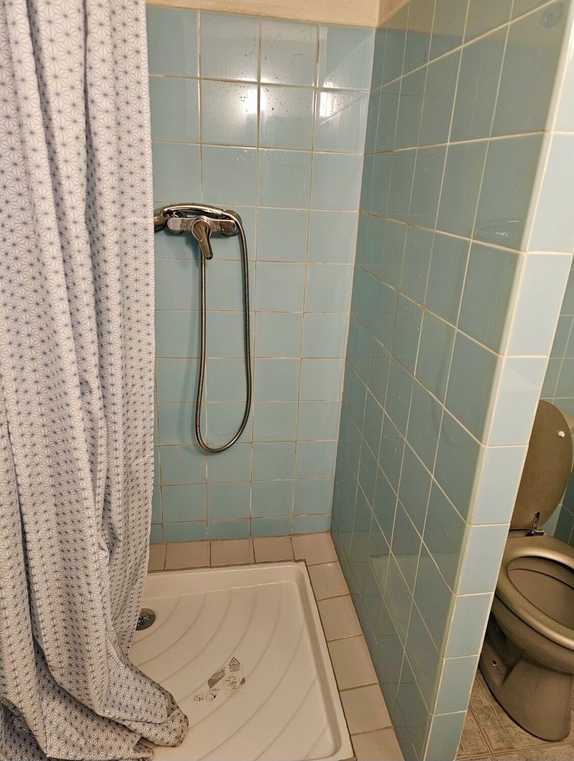 Une salle de bain avec une douche, des toilettes et un rideau à motifs.