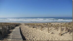 On the beach