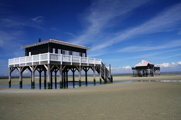 On the beach - Charming Arcachonnaise 5 minutes walk from the beach, pool side. Taussat (Lanton)