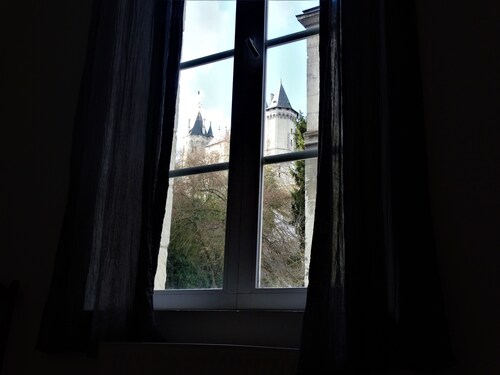 Large apartment between Loire and Château