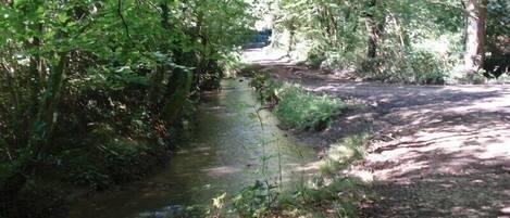 A narrow waterway flanked by dense foliage, with a dirt path on one side and a wooden bridge in the distance.