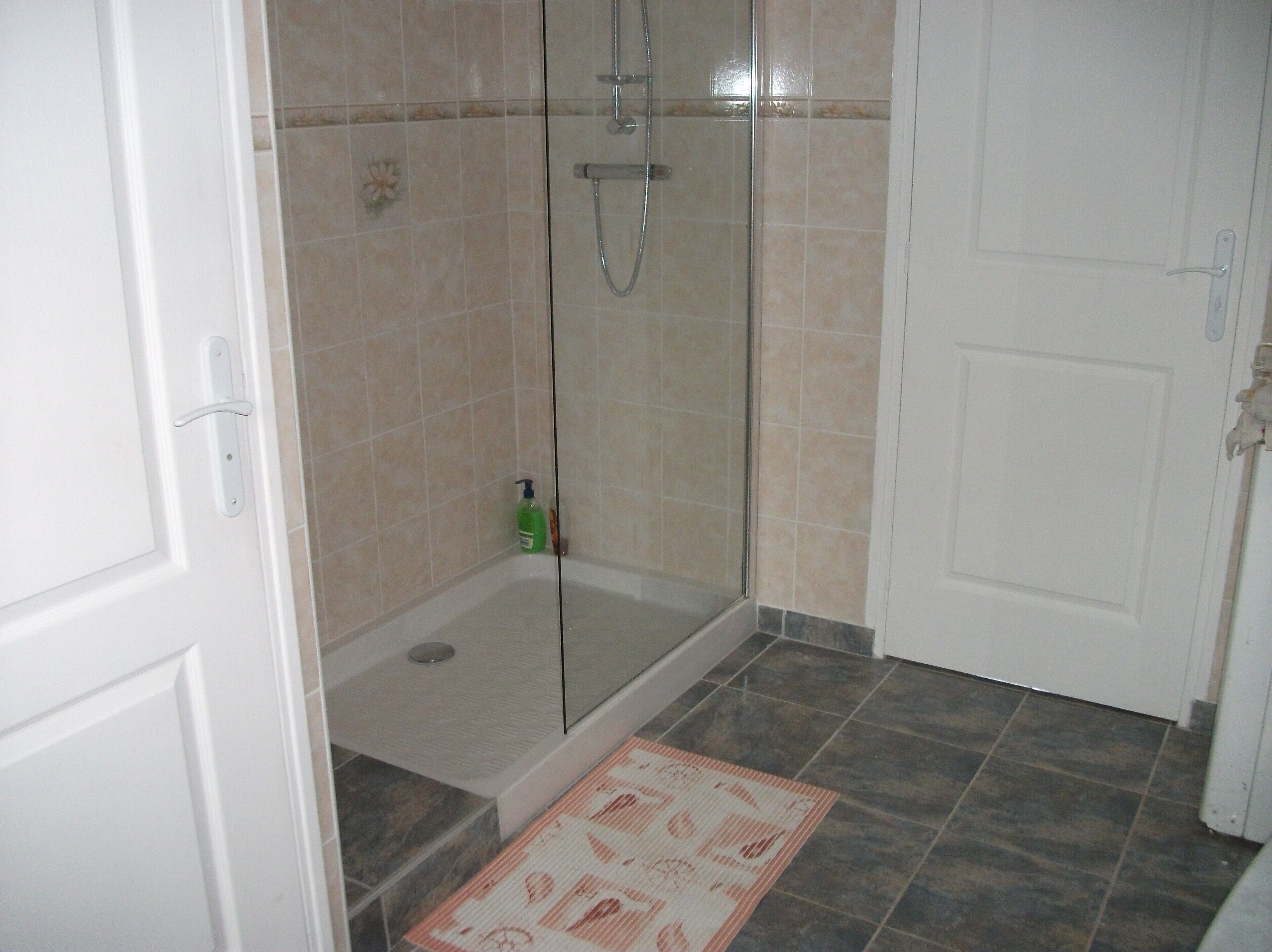 Een badkamer met een douche met glazen wand, een witte deur en een vloerkleed met dessin.