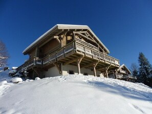 Exterior - Great comfort, quiet, lake view, nature, wifi, sauna, billiards, close to ski slopes, charging station. (Gérardmer)