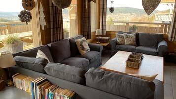 Televisión, chimenea, reproductor de DVD, libros