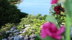 Paisaje costero con vista al mar, abundante vegetación y plantas florecientes.