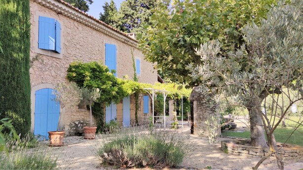A stone building with blue shutters, a garden with potted plants, and a pergola covered with vines.